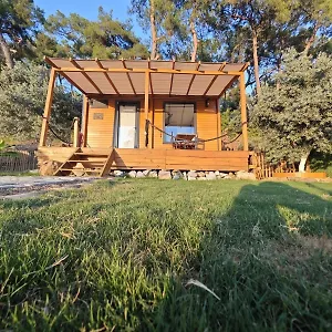 tiny-mini-house.turkeyfethiyehotels.com/